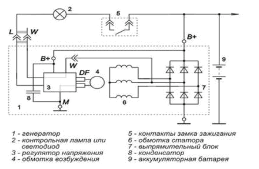 калиногенератор.png