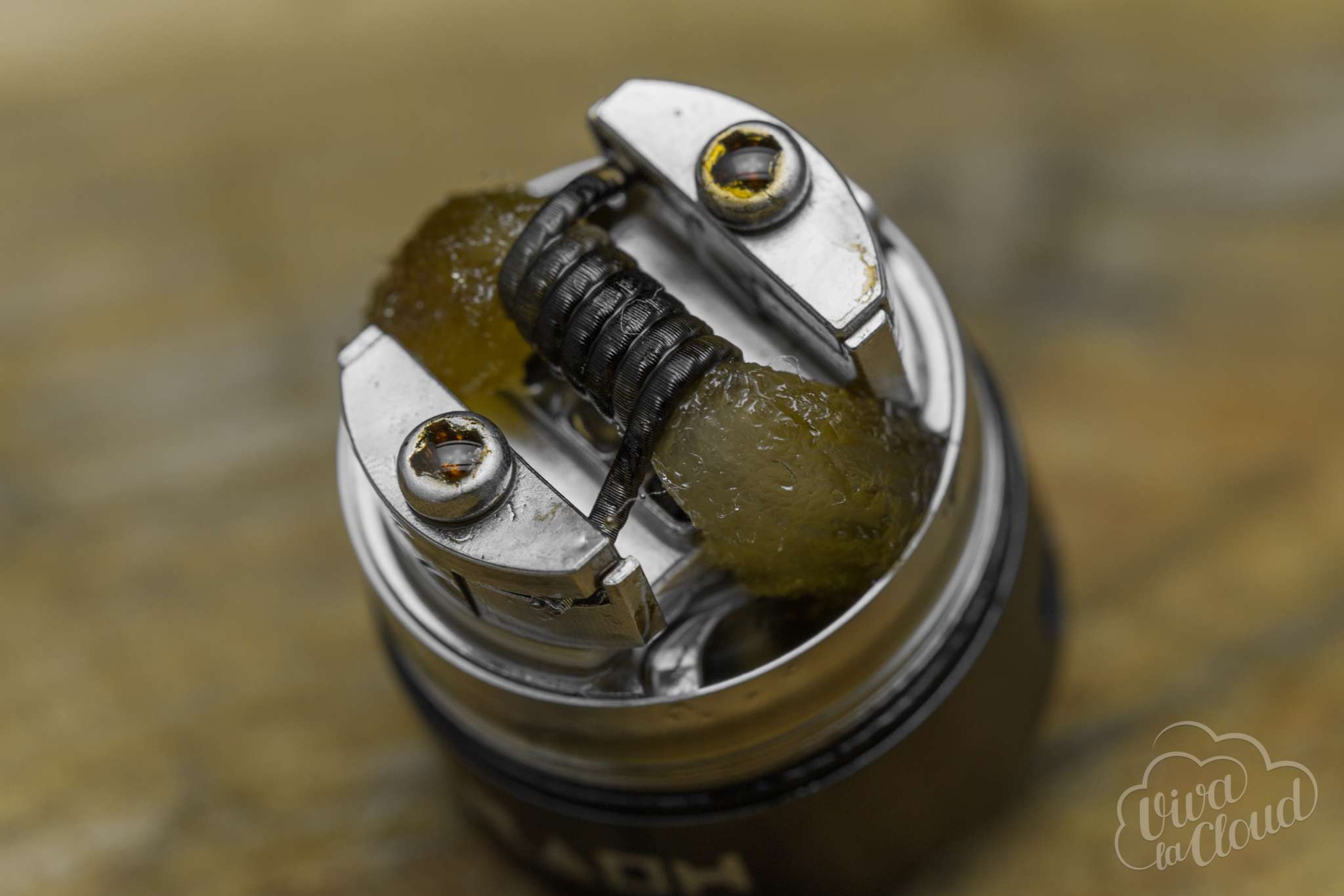 pharaoh-rda-9.jpg